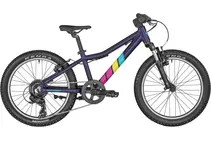 BGM Bike Bergamonster