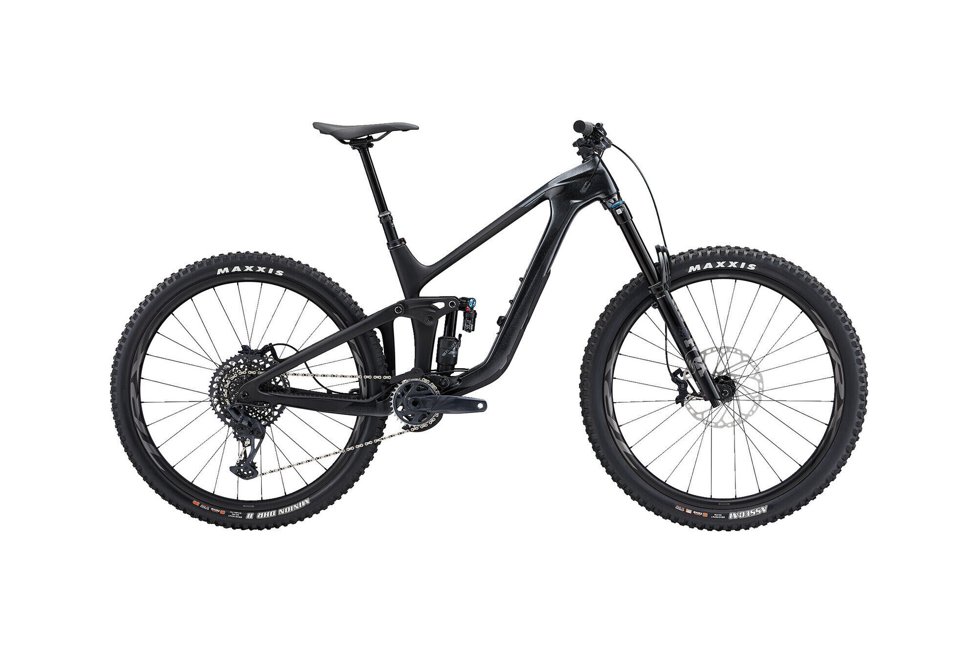 Reign Adv Pro 1
