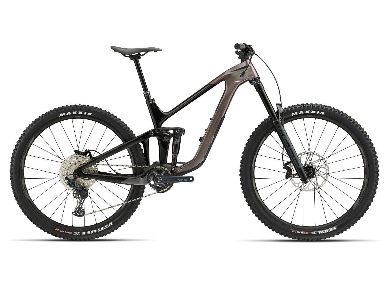 Reign Advanced Pro 2